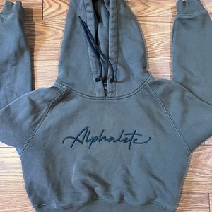 Alphalete crop hoodie